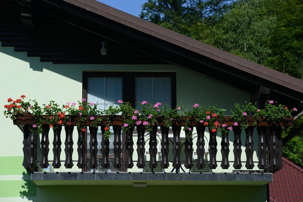 Zeleni Apartma 茨热塞 外观 照片