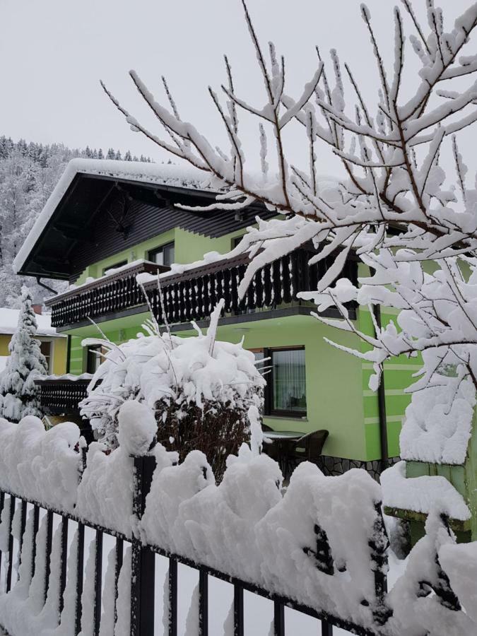 Zeleni Apartma 茨热塞 外观 照片